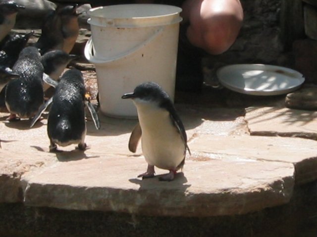photo622.jpg