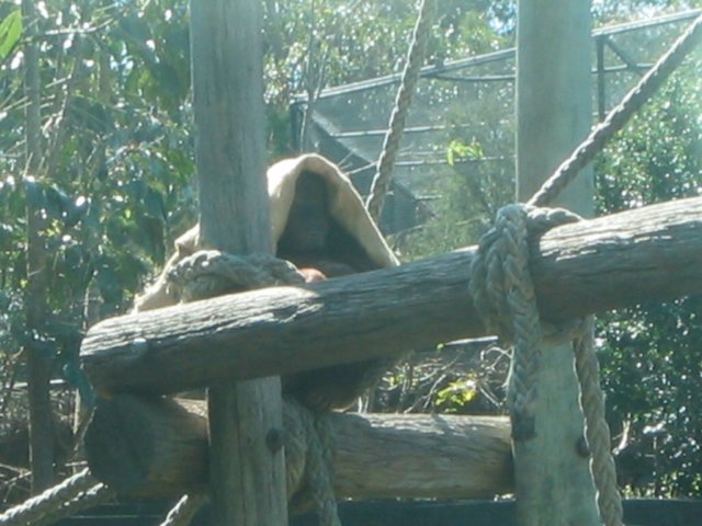 photo636.jpg