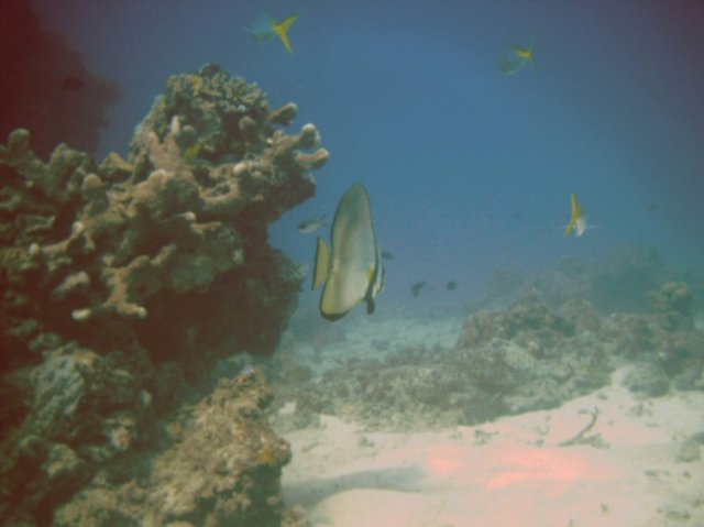 photo64.jpg
