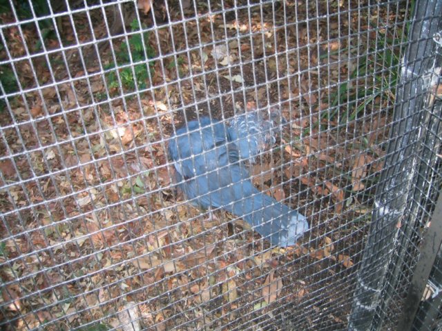 photo660.jpg