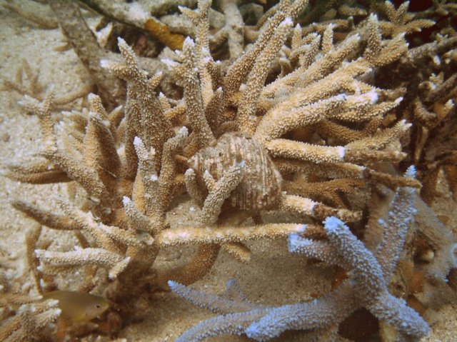 photo68.jpg