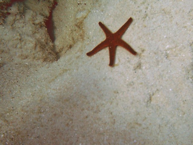 photo72.jpg