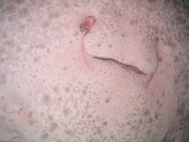 photo721.jpg