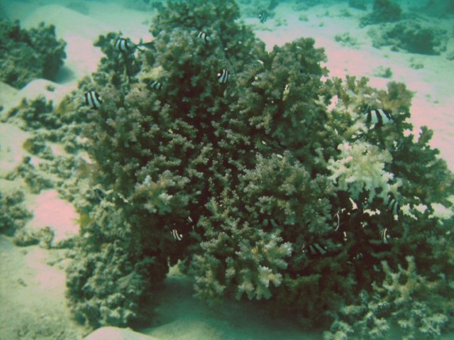 photo76.jpg