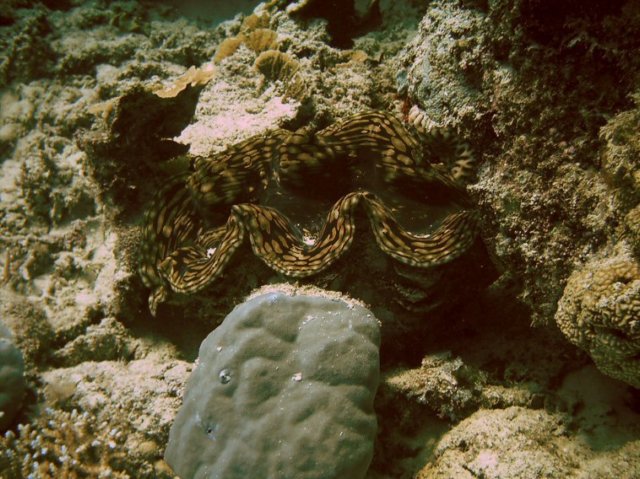photo80.jpg