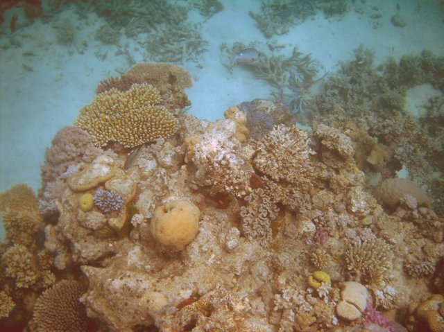 photo81.jpg