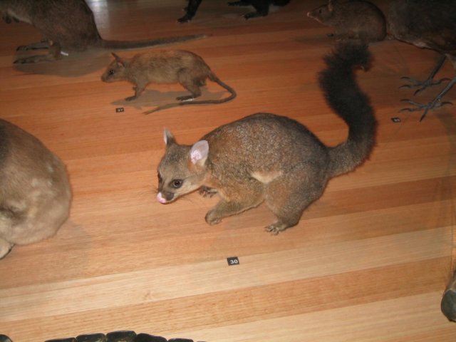 photo837.jpg
