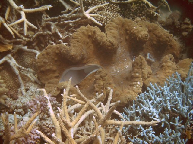 photo85.jpg