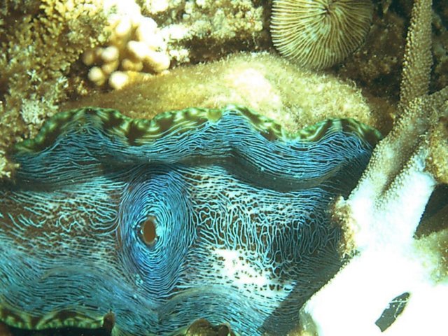 photo95.jpg