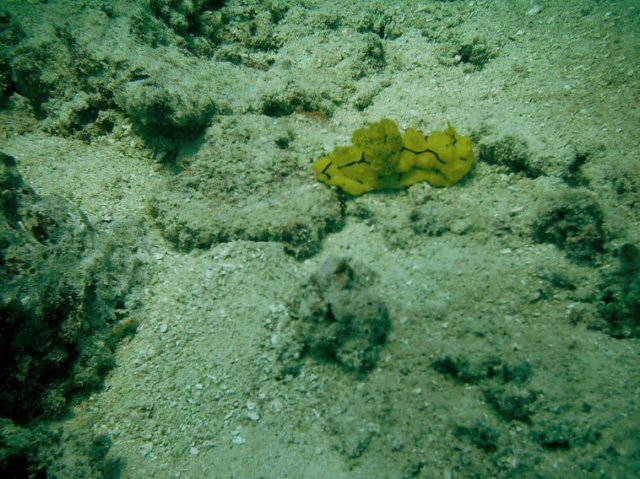 photo98.jpg