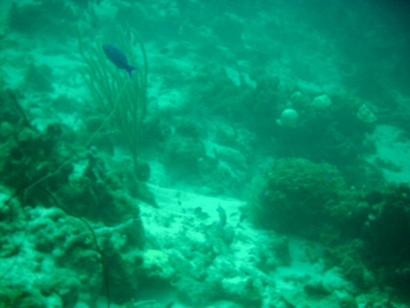 imag0188.jpg