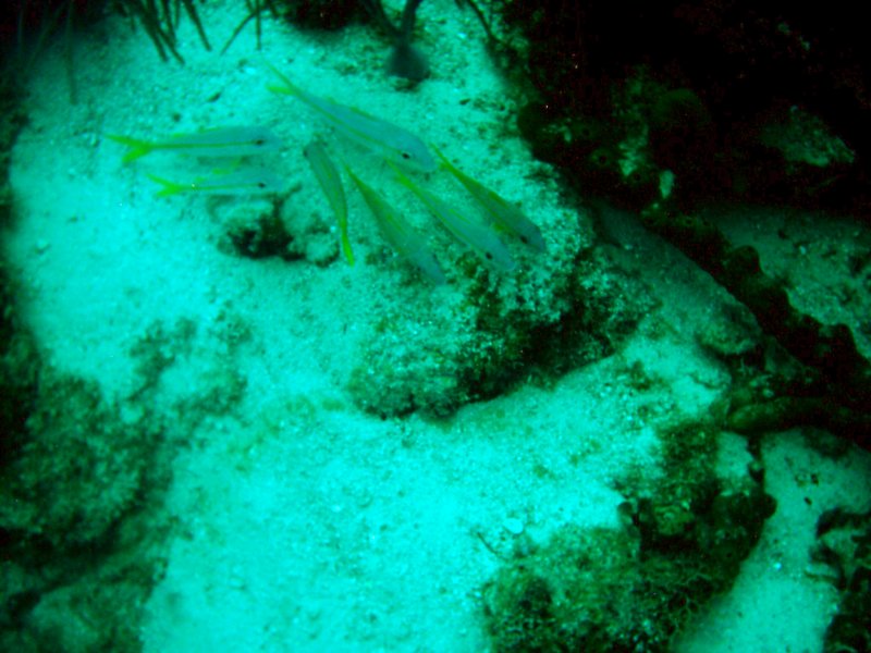 imag0193.jpg