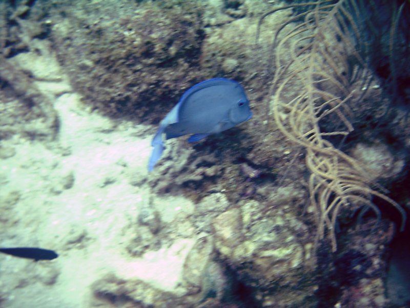 imag0206.jpg