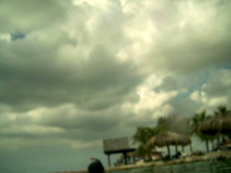 imag0212.jpg