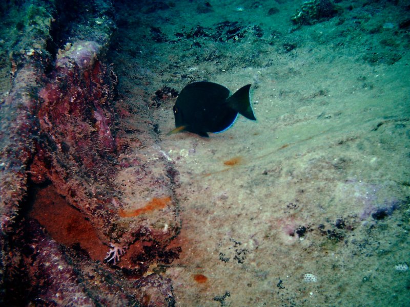 imag0223.jpg