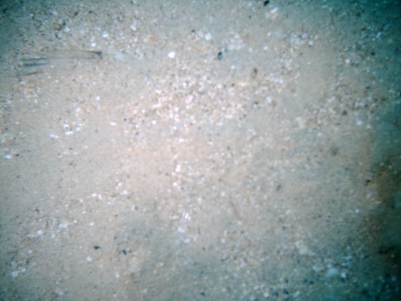 imag0236.jpg