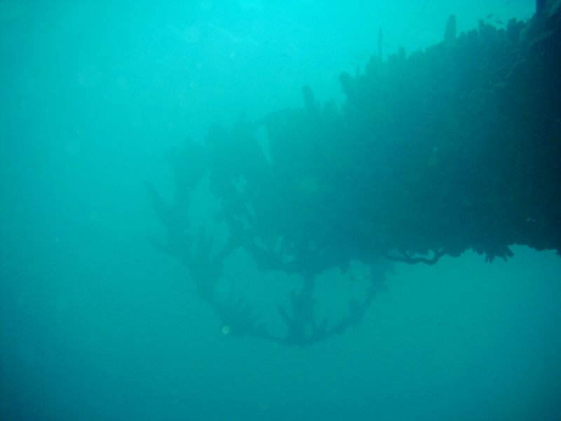imag0269.jpg