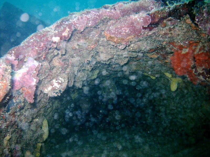 imag0270.jpg