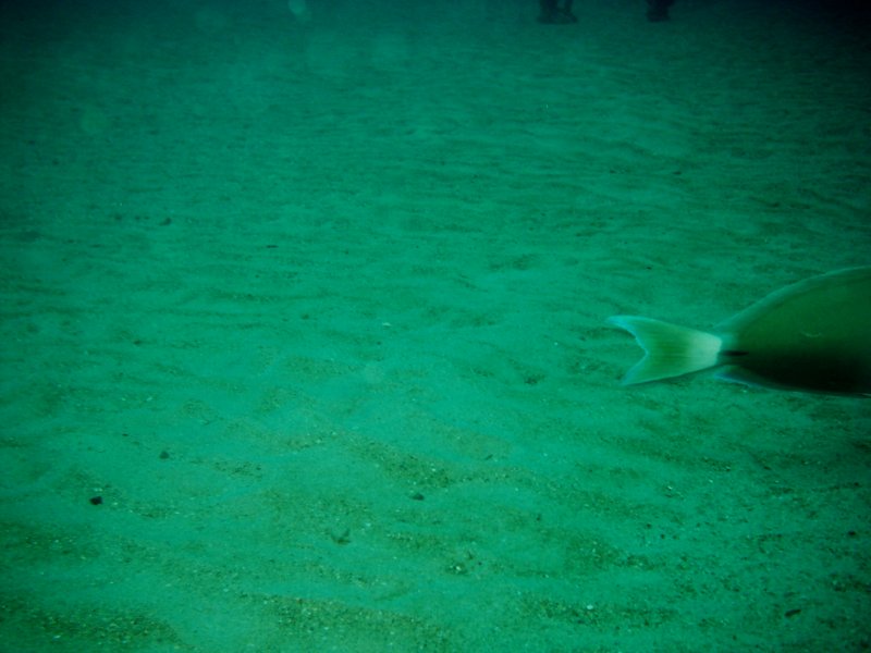 imag0274.jpg