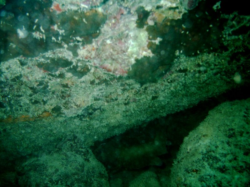 imag0278.jpg