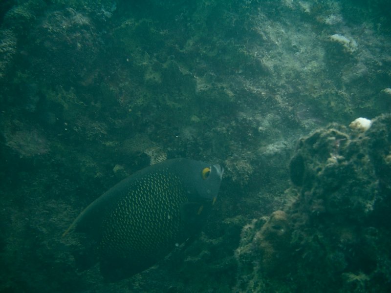 imag0281.jpg