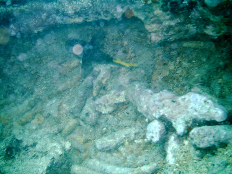 imag0283.jpg