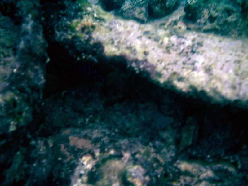 imag0302.jpg