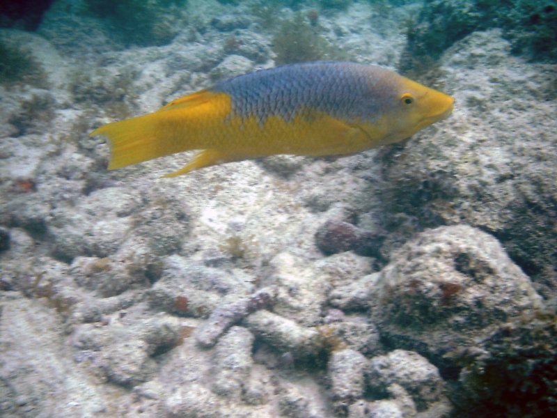 imag0303.jpg