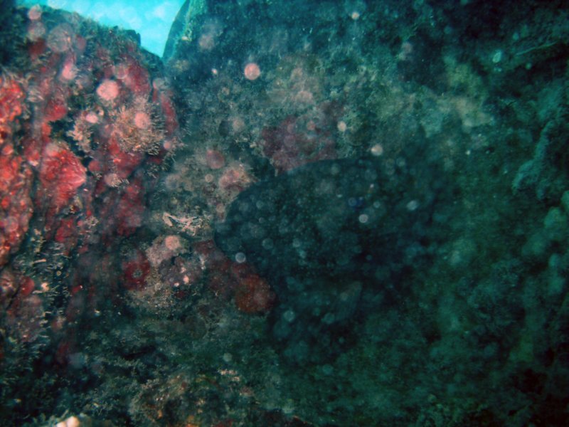 imag0308.jpg