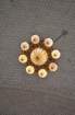 dsc_0183_small.jpg