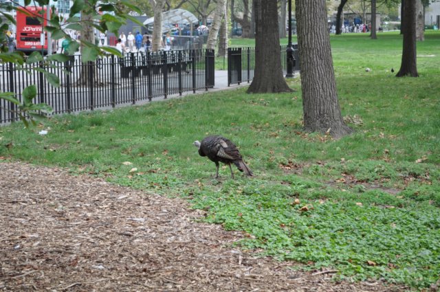 dsc_02192.jpg