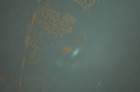 dsc_02782_small.jpg