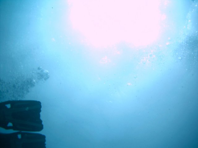 imag0017.jpg