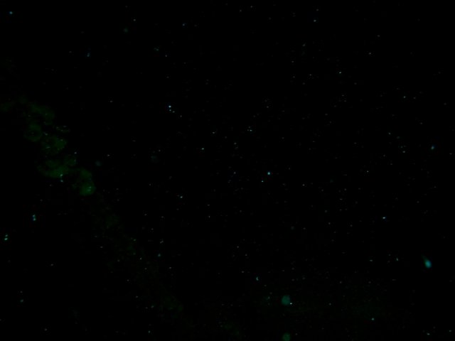 imag0033.jpg