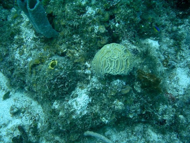 imag0057.jpg