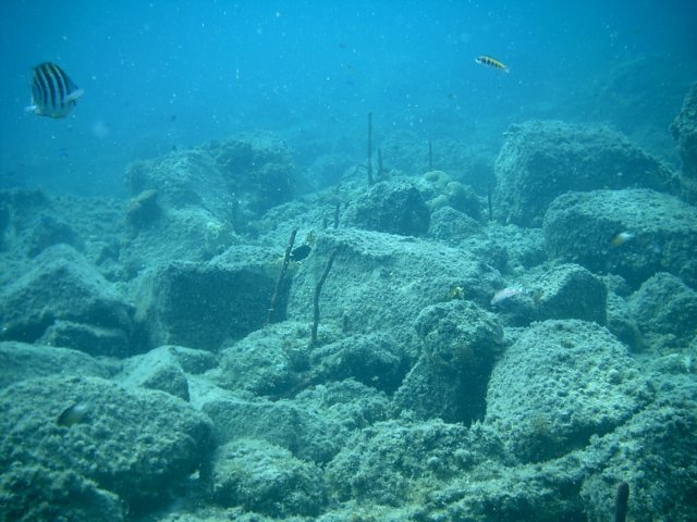 imag0062.jpg