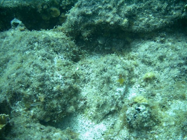 imag0063.jpg