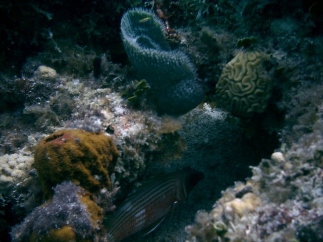 imag0070.jpg