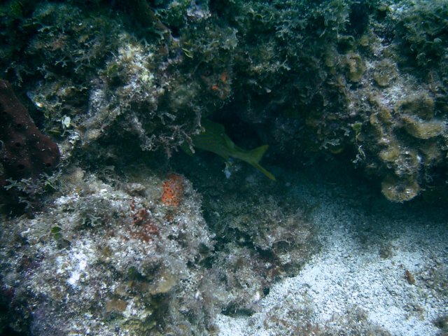 imag0071.jpg