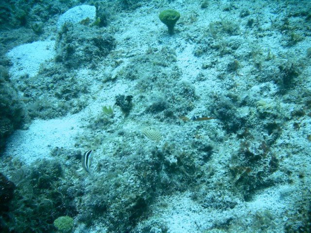 imag0073.jpg