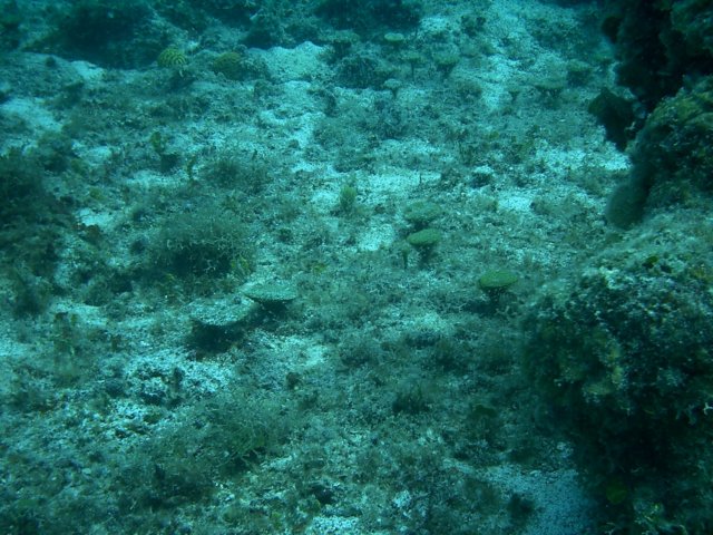 imag0076.jpg