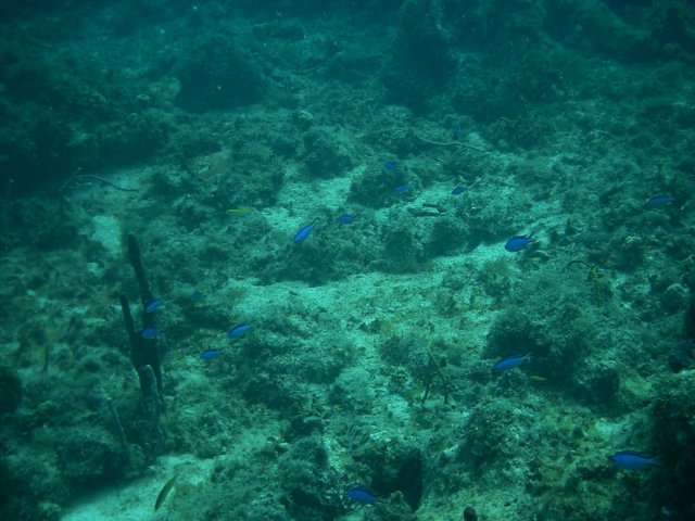 imag0078.jpg