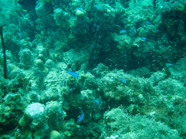 imag0080.jpg