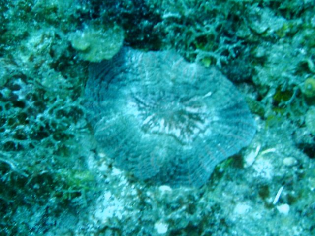 imag0088.jpg