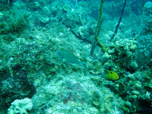 imag0089.jpg