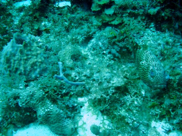 imag0095.jpg