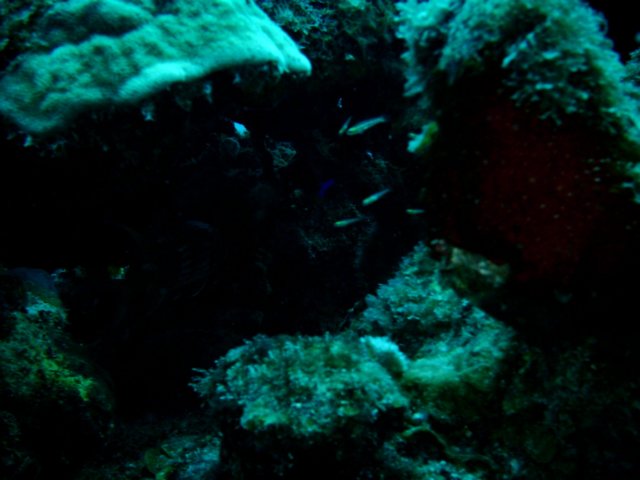 imag0098.jpg