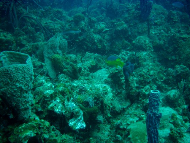 imag0102.jpg