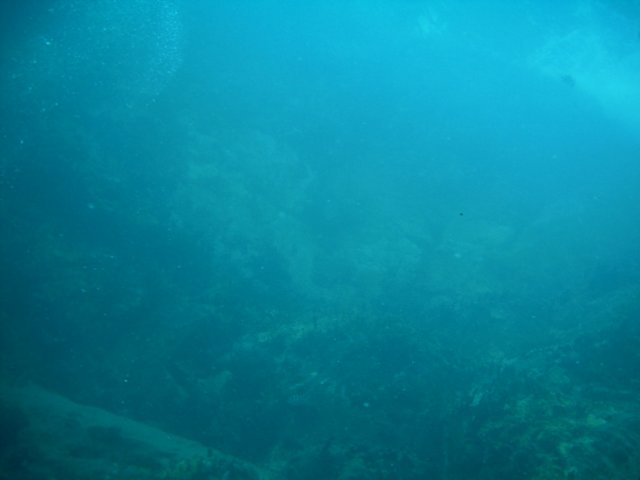imag0114.jpg