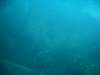 imag0114_small.jpg